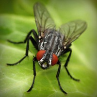 /album/gradrelunria/photolia-a01-jpg/