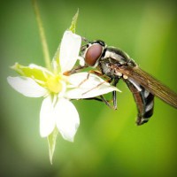 /album/gradrelunria/photolia-a02-jpg/