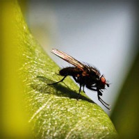 /album/gradrelunria/photolia-a04-jpg/