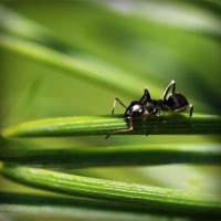 /album/gradrelunria/photolia-a05-jpg/