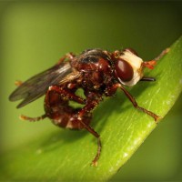 /album/gradrelunria/photolia-a06-jpg/