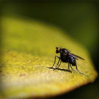 /album/gradrelunria/photolia-a07-jpg/