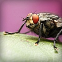 /album/gradrelunria/photolia-a08-jpg/